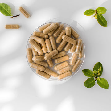 Burdock Root